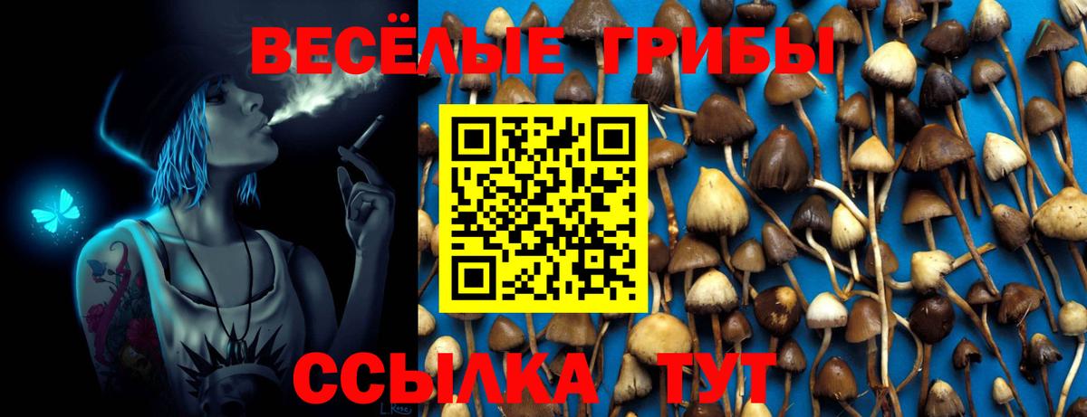 Псилоцибиновые грибы Magic Shrooms  Вход с VPN  Зеленодольск 