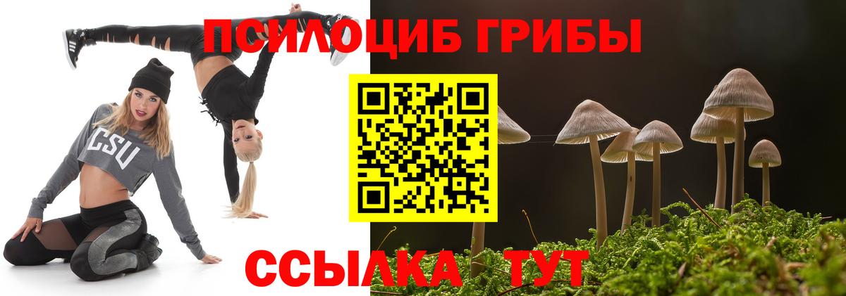 Галлюциногенные грибы Cubensis Зеленодольск